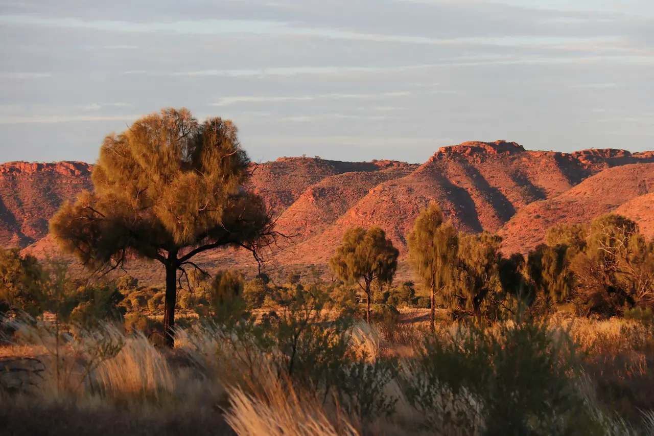 Australia Native Title Geospatial Maps Portal Overview